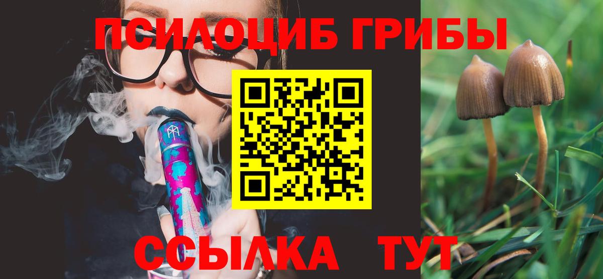 Псилоцибиновые грибы GOLDEN TEACHER Домодедово
