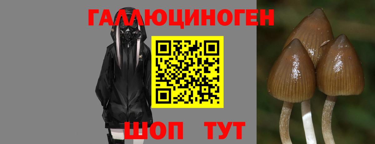 Псилоцибиновые грибы GOLDEN TEACHER  Вход с VPN  Домодедово 